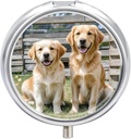 Rond Pill Case 3 Compartiment Golden Retriever Chien Puppies Animaux de compagnie Pill Box Mini Medicine Pill Organizer Portable Travel Pillbox for Pocket Purse Metal Pill Container for Vitamines Fish Oil Suppléments