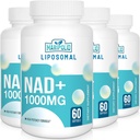 Liposomal NAD+ Supplement 1000 mg | Highest NAD Pontecy | Max Absorption | Pure NAD Supplement | Energy and DNA Repair, Aging Defense, Brain Function | 240 Softgels
