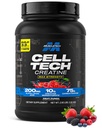MuscleTech Creatine Monohydrate Poudre Cell-Tech Creatine post entraînement Recovery Builder Muscle Builder pour hommes et femmes Muscle Building Suppléments Fruit Punch, 3 lbs (27 Serv)