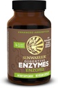 Enzorb Sunwarrior Enzymes digestifs Probiotiques à base de plantes et végétaliens avec des suppléments essentiels probiotiques à base de spores pour soutenir la santé optimale des hommes et des femmes Suppléments enzymatiques digestifs