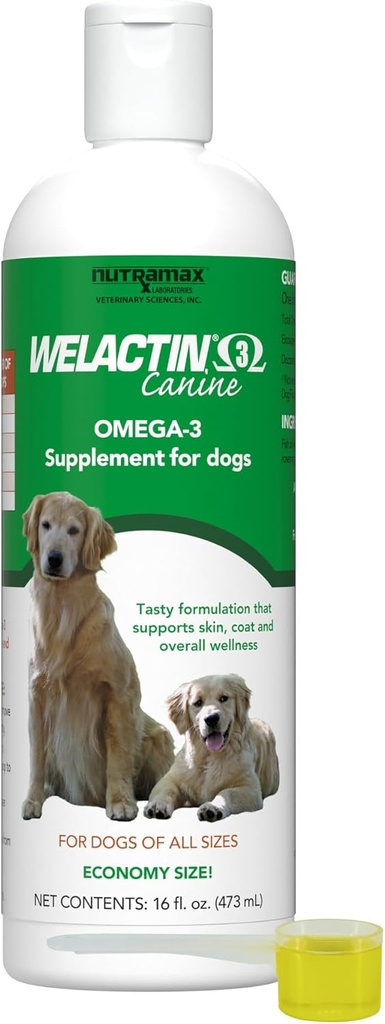 Nutramax Welactin Omega 3 Huile de poisson pour les chiens, la peau et le supplément santé de manteau, plus joint, immunitaire, rein et soutien du cerveau, acides gras Omega 3 Premium, pour les chiens de toutes tailles, 16 once liquide (3 pc)