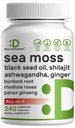 SUPPLÉMENT DE DÉAL Moss de la mer d'Irlande 7000mg par portion, 240 Capsules de Veggie – 14 Complexe Superfood – 3000mg Huile de Graine Noire, 2000mg Ashwagandha, 600mg Ginger