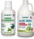 Art terrestre Jus d'Aloe Vera - Aromatisé à la grenade - Procédé à froid - Filet intérieur de feuilles fraîches organiques - 64floz + Aromatisé à la menthe de chlorophylle liquide - Extrait à froid de l'Alfalfa sauvage non-OGM - 16floz