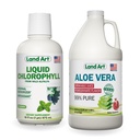 Art terrestre Jus d'Aloe Vera - Aromatisé à la grenade - Procédé à froid - Filet intérieur de feuilles fraîches organiques - 64floz + Aromatisé à la menthe de chlorophylle liquide - Extrait à froid de l'Alfalfa sauvage non-OGM - 16floz