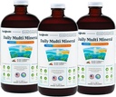 LIQUIDHEALTH quotidien Multi Mineral Liquid Supplement with Fulvic Acid, Plant Based Aquamin Sea Trace Ocean Minerals - Immune Support, Énergie, Gut Health, Detox - Fabriqué aux États-Unis, Végétarien (3 Pack)