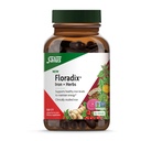 Floradix Iron + Herbes - Supplément de fer pour un soutien énergétique sain* - Supporte la formation de cellules rouges de sang - Vegan, non-OGM, sans gluten, sans soja - 120 bouchons de Phyto liquide
