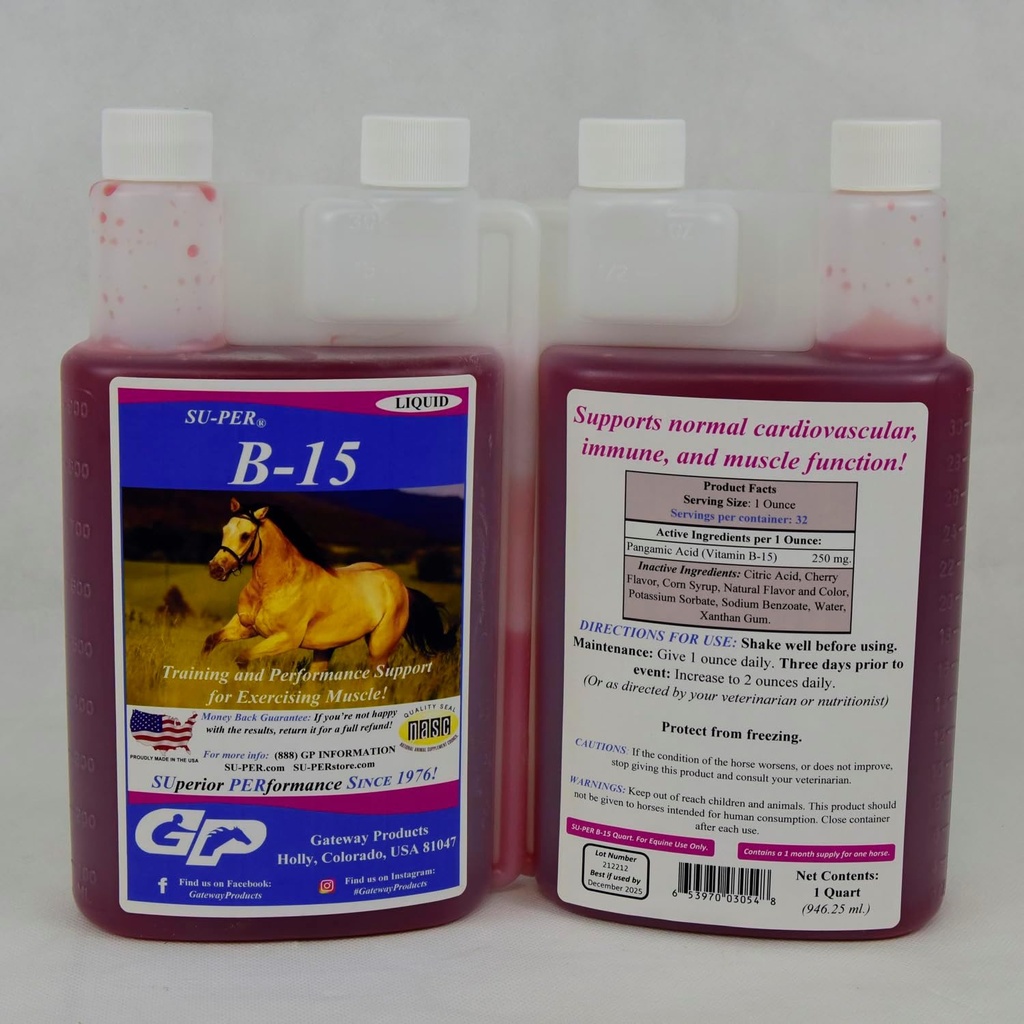 SUPER B-15 Supplément de vitamine pour chevaux - Vitamine Hippique B-15 Liquide pour le soutien de la performance - Soutienne la fonction immunitaire et musculaire cardiovasculaire normale - 1 Quart, (2 Pack)