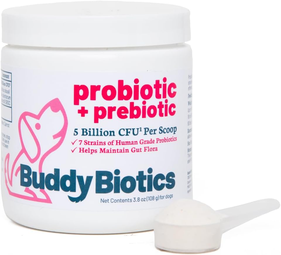 Buddy Biotics Probiotic + Prebiotic for Dogs- Gut Flora Health, Digestive and Immune Health, Diarrhea and Bowel Support – 5 Billion CFU per Scoop