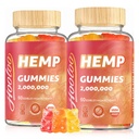 Gommies de chanvre HOOLOO pour adulte – Haute puissance 2.000.000MG, 100% naturel pur sucre biologique sans sucre Gommies de chanvre fruité, fabriqués aux États-Unis