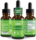 Gouttes liquides en chlorophylle premium - 100 % naturel et sans gluten Chlorophylle liquide - Non OGM, 118 portions