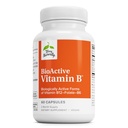 Terry naturellement BioActive Vitamine B - Aide à la santé cardiaque avec des vitamines bioactives B - Supplément au folate et au calcium - B Vitamine complexe pour aider la fonction du système nerveux - 60 capsules