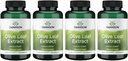 Swanson Olive Leaf Extract Capsules avec 20% Oleuropein - (120 Capsules, 500mg chacune) 4 Bouteilles