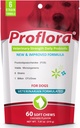 Probiotiques pour chiens - Complete Gut Health & Immune Support. Facile à utiliser Probiotiques Digestifs Multi-Strain. Transitions diététiques plus faciles, peau et manteau plus sains et aide à traiter la diarrhée. 60 chews doux