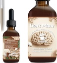 Teinture de lion – Soutien biologique du cerveau et de la concentration – Extrait de champignons liquides à base d'alcool ultra-potent – 2 oz