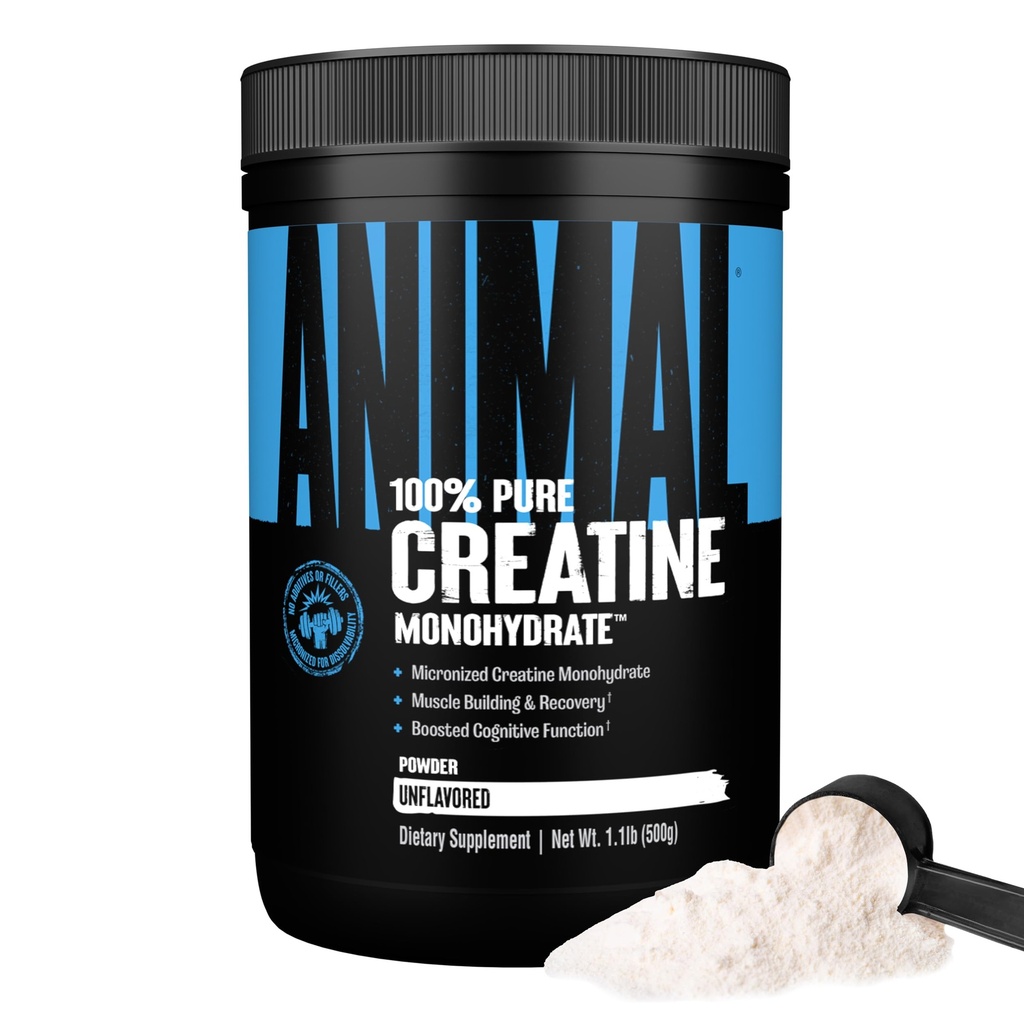 Poudre monohydratée de créatine animale - La créatine micronisée pour les femmes et les hommes, soutient la croissance musculaire, la force, l'endurance, la récupération et la production ATP, des suppléments de gym et d'entraînement - Non aromatisé, 500g