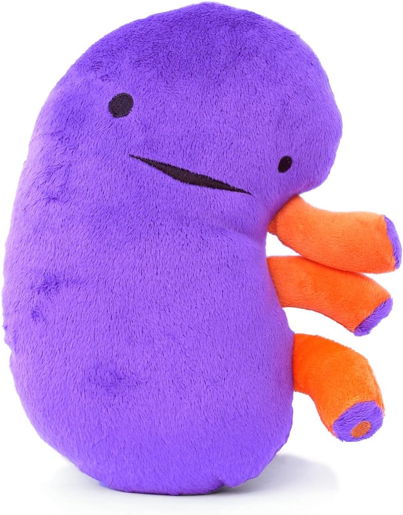 I Heart Guts Rein Plush – 9" Jouet éducatif d'organes farcis pour la maladie du rein, la récupération des greffes, la dialyse, la CKD, le rein polykystique, l'échec rénal – Drôle de bien faire cadeau