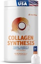 SaltWrap Collagen Synthesis - Collagen Peptides pour les articulations avec Fortigel, Tendoforte, Meilleure poudre de collagène pour Tendons, Ligaments, et récupération et réparation de cartilage, NSF certifié pour le sport