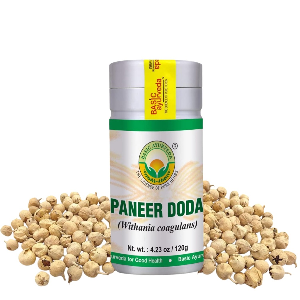 BASIC AYURVEDA Paneer Doda Powder (Withania Coagulans) – 4.23 Oz (120g)