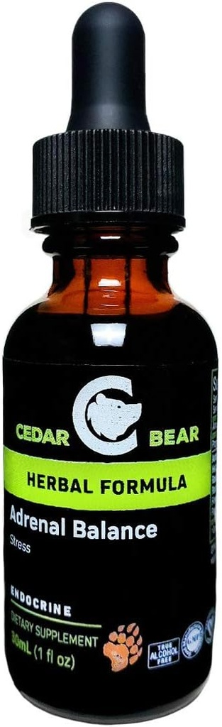 Balance adrénale de l'ours cèdre - supplément à base de plantes liquides avec adaptogènes qui combat la fatigue, gérer le stress et augmenter l'énergie 1 fl oz / 30 ml
