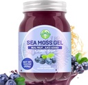 Gel de mousse de mer, 18.5OZ Aromatisé brut Irish Seamoss Gel Immune et soutien digestif Vitamine Mineral Suppléments, Blueberry