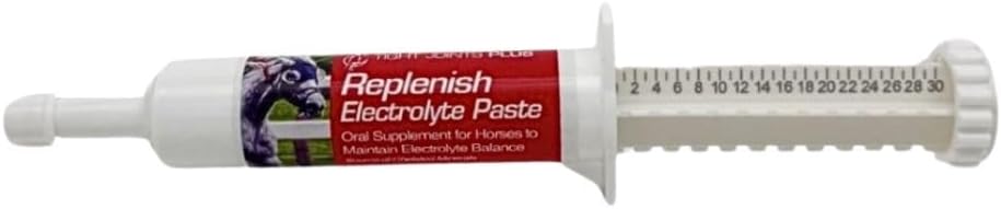 Remplir la pâte électrolyte pour les chevaux 30cc