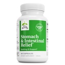 Terry naturellement l'estomac et le soulagement intestinal - Supplément pour aider à la santé digestive et le doublage intestinal - Aides contre le malaise digestif occasionnel à apaiser l'estomac - 60 capsules
