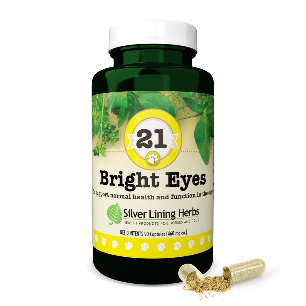 Herbes argentées 21 yeux brillants - soutient la santé des yeux des chiens - maintient des niveaux minéraux normaux pour les yeux des chiens - Herbes naturelles soutenant la santé des yeux canins à long terme - 90 capsules