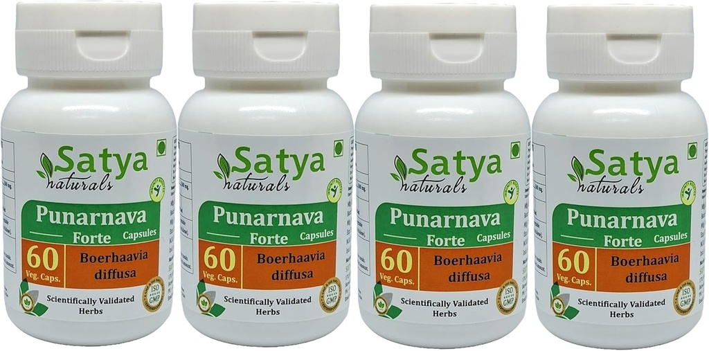 Punarnava Forte Capsules 500 mg. 60 Veg. Capsule | Punarnava (Boerhaavia Diffusa) Extract Capsules for Men and women | Ayurvedic Herbal Supplement/Remedies | 10:1 Forte (4 Bottles of 60 Capsules)