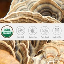 Poudre de champignon de la dinde biologique, un seul domaine, non-OGM - Gut, énergie, cerveau, & Immune Support - Supplément de champignon végétalien dans un pot de verre refermable