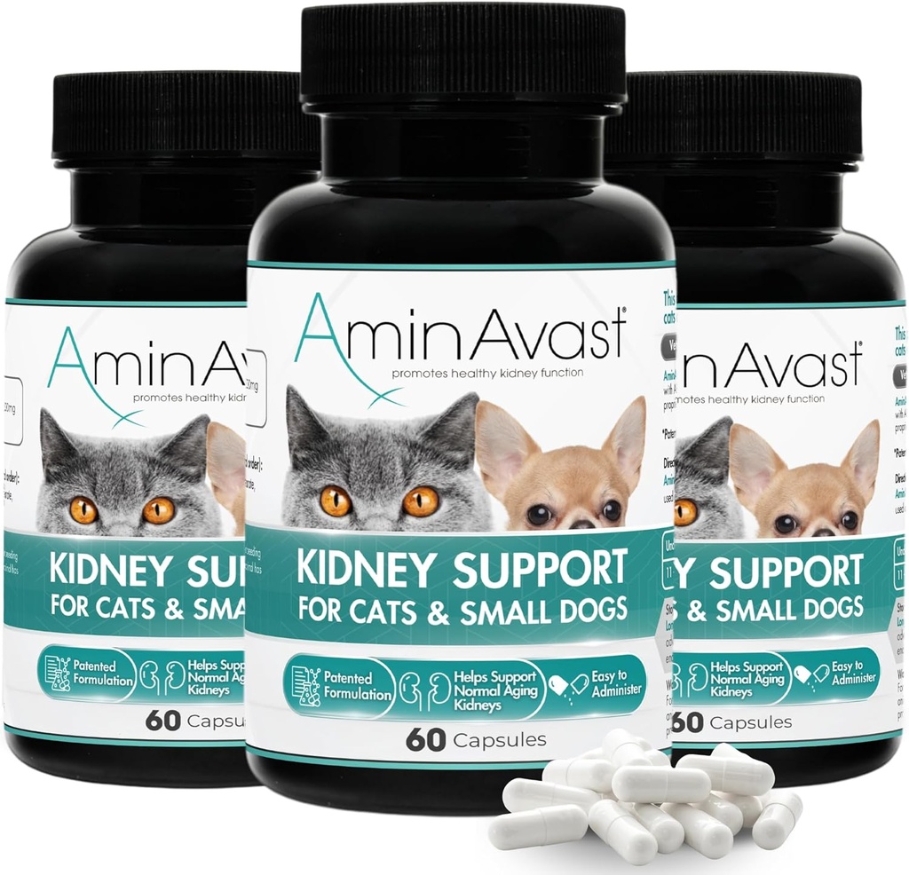 AminAvast Supplément de soutien au rein pour les chats et les petits chiens, 300mg 3-Pack - Promotion de la fonction rénale naturelle - Aides à la santé et à la vitalité des reins vieillissants - Facilement administré - 60 gélules