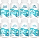 Supplément NAD+ liposomale 1000 mg, le plus élevé NAD Pontecy, Max Absorption Supplément NAD pur, Énergie et ADN, Vieillissement Défense, Fonction Cervelle, 480 Softgels