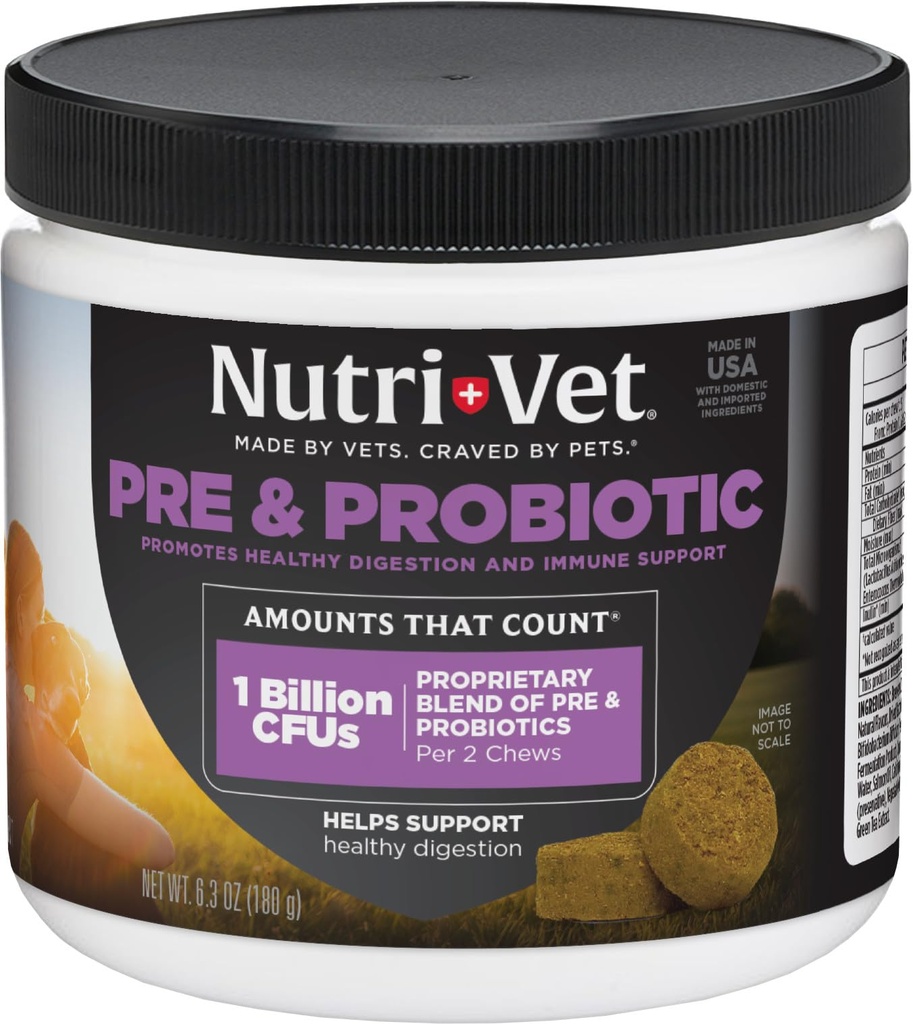 Pré et probiotiques Nutri-Vet pour chiens, soutien digestif, estomac relevé, probiotique puppy, vitamines et suppléments pour animaux de compagnie, probiotiques pour chiens, foie et saveur de fromage, 120 chews molles