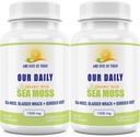 Notre quotidien Vites Sea Moss Capsules 1500mg (2 Pack) - Wildcrafted Irish Sea Moss Bladderwrack and Burdock Root Superfood Blend - Système immunitaire, Gut Health & Thyroïde Support - 240 Capsules végétariennes