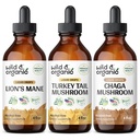 Manille de lion sauvage et biologique, dinde Queue et teintures de champignons Chaga