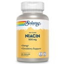 SOLARAY Pas de flush Niacine 500mg, sans flush vitamine B3 Niacine, énergie et système circulatoire, Vegan, laboratoire vérifié, 60 jours de garantie de remboursement, 100 portions, 100 VegCaps