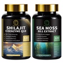 Shilajit pour les hommes, la mousse de mer et le bundle Shilajit, Tous en 1 suppléments avec Coenzyme Q10, Graines noires, Ashwagandha, Taurine, Burdock pour l'énergie, Endurance, Antioxydant & Immunissable Support, 240 Capsules