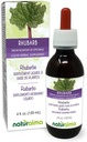 Naturalma Rubarb (Rheum palmatum ou Rheum officinale) Teinture sans alcool et rhizome - 4 fl oz Extrait liquide dans les gouttes - Supplément à base de plantes - Vegan