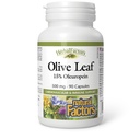 HerbalFactors par facteurs naturels, Olive Leaf 500 mg, Formule de bien-être naturel, 90 Capsules