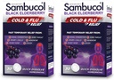 Sambucol Comprimés de soulagement du rhume et de la grippe - Médecine homéopathique du rhume, Assainissement de la congestion du Nasal et du Sinus, utilisation pour le nez runny, la toux, le traitement du froid pour les adultes - Aîné noir, 30 comtes, 2-paquets