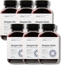 Complexe de magnésium de nutrition plus intelligente - Glycinat de magnésium chélaté + Citrate, Malate pour le sommeil, la relaxation, les muscles et les nerfs + Comprimé L-Theanine prouvé cliniquement, non-OGM-360[180 jours]