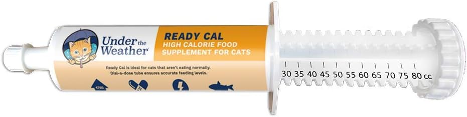 Sous la météo Pet-Cal prêt pour les chats 80cc-Calorie supplément nutritionnel élevé pour le gain de poids et ne pas manger.