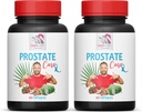 Supplément Saw Palmetto - Support Prostate PILS - Ingrédients naturels, Saw Palmetto, Feuille de Nettle Sting, Maitake Mushroom, Reishi, Shiitake, Supplément Prostate Support pour les hommes, 2 bouteilles 120 capsules