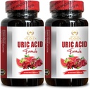 Vitamines d'acide urique générique pour les hommes et les femmes - URIC Acid Support Formula - Pills antioxydants, Tart Cherry & Chanca Piedra pour un soutien efficace - 2 bouteilles