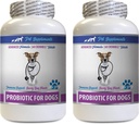 Pilules anti-diarrhée pour chiens - PROBIOTIQUES pour chiens - Gout sain - Stop Diarrhée gazeuse et mauvaise haleine - Boost digestif - Paquets de probiotiques pour chiens - 2 bouteilles (120 gâteries)