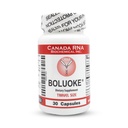 ARN Canada (Lumbrokinase) pour la santé circulatoire, 30 capsules