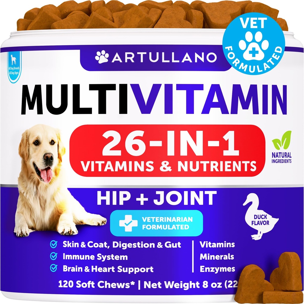 Multivitamine de chien à croquer avec la glucosamine 26 en 1 - Vitamines et suppléments de chien - Multivitamine de chien et de chiot pour chiens - Soutien conjoint pour animaux de compagnie Santé - Immunité, mobilité, peau de gueule - 120 Chews