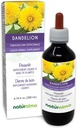 Naturalma Dandelion (Taraxacum officinale) Racine et herbe Teinture sans alcool - 6,76 fl oz Extrait liquide dans les gouttes - Supplément à base de plantes - Vegan