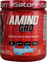 iSatori Amino-GRO BCAA Poudre, Acides aminés à chaîne ramifiée avec glutamine, poudre d'électrolyte et peptides bioactifs bio-GRO pour la croissance musculaire et la récupération après entraînement, Blue Razz Snow Cone (30 portions)