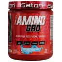 iSatori Amino-GRO BCAA Poudre, Acides aminés à chaîne ramifiée avec glutamine, poudre d'électrolyte et peptides bioactifs bio-GRO pour la croissance musculaire et la récupération après entraînement, Blue Razz Snow Cone (30 portions)