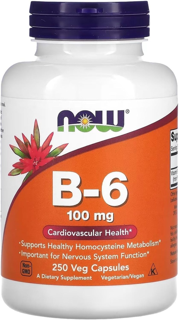 Maintenant Aliments Vitamine B-6 250 Capsules/100mg